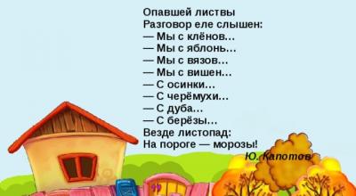 Урок окружающего мира 