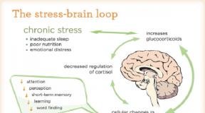 Сильная воля — главный секрет «достигатора Упражнения по развитию воли и духа