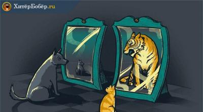 Как повысить самооценку, полюбить себя: упражнения, советы психологов